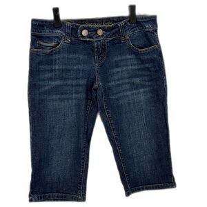 Women's Vintage American Eagle Jeans AE Artist Denim Bermuda Shorts Jorts Size 4